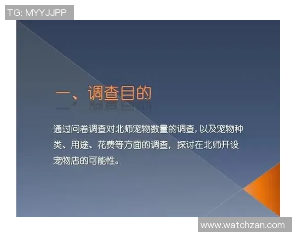 国际篮球裁判员的职责与挑战探讨及其对比赛公正性的影响分析 国际篮球裁判员的职责与挑战探讨及其对比赛公正性的影响分析